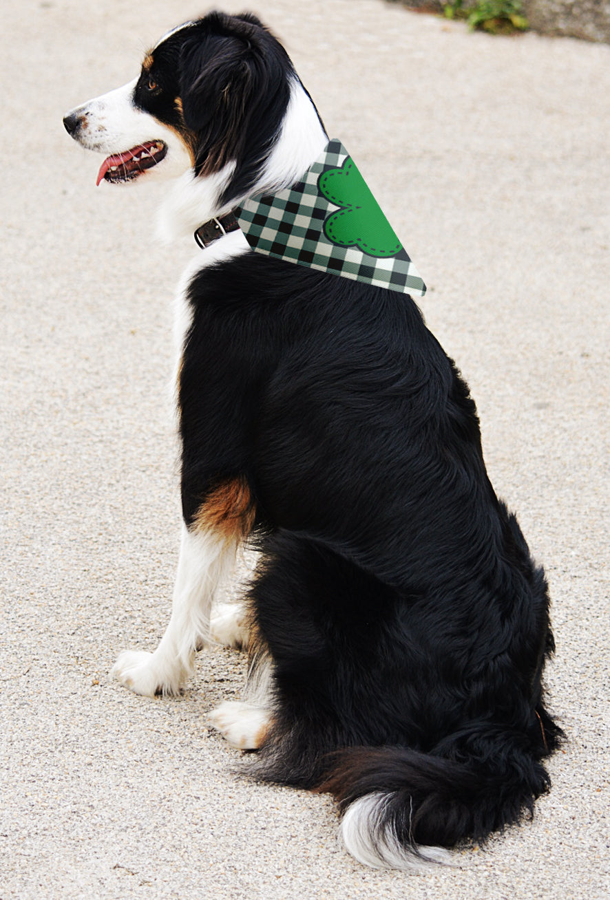 larger dog with scarf
