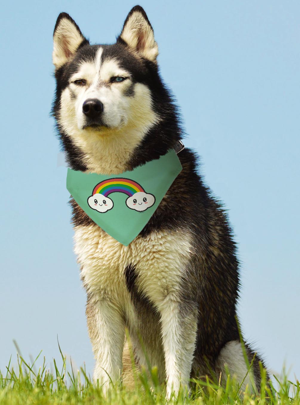 larger dog with scarf