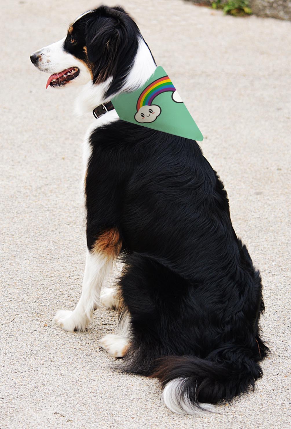 larger dog with scarf