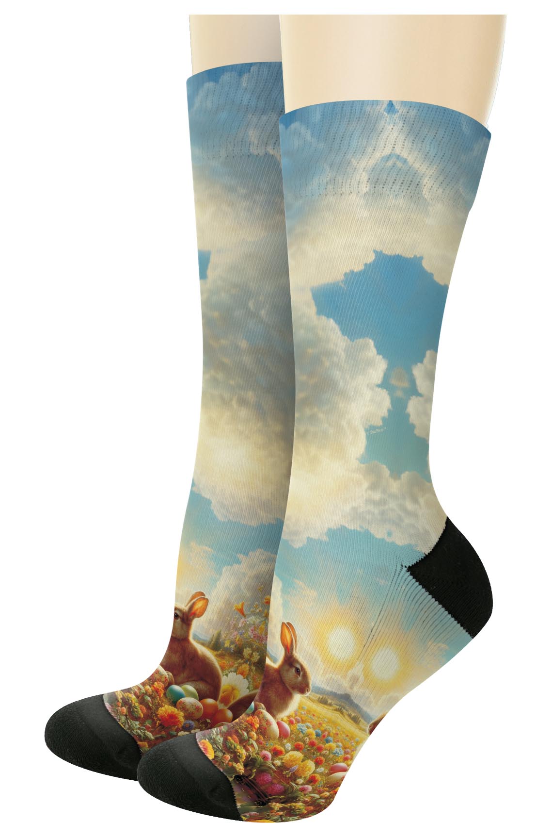 left side of a pair of socks