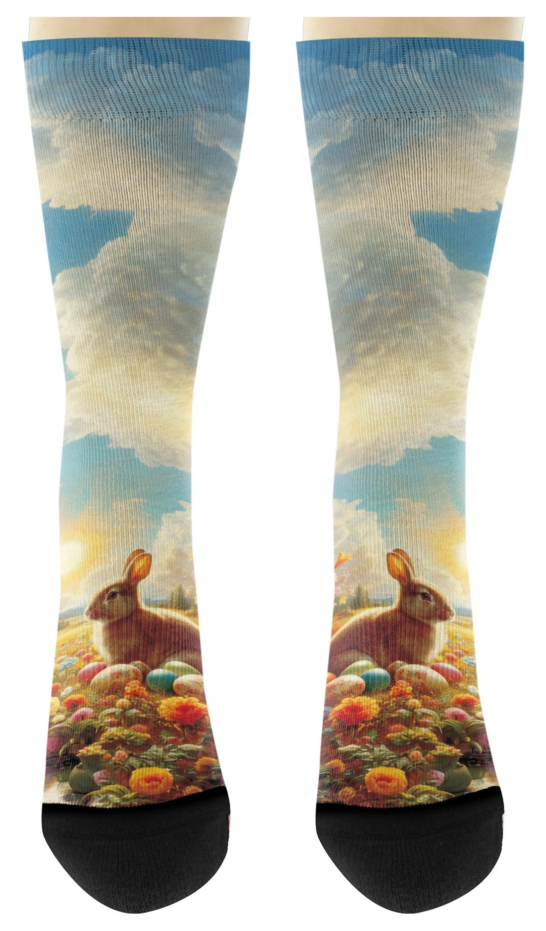 front view of a pair of socks