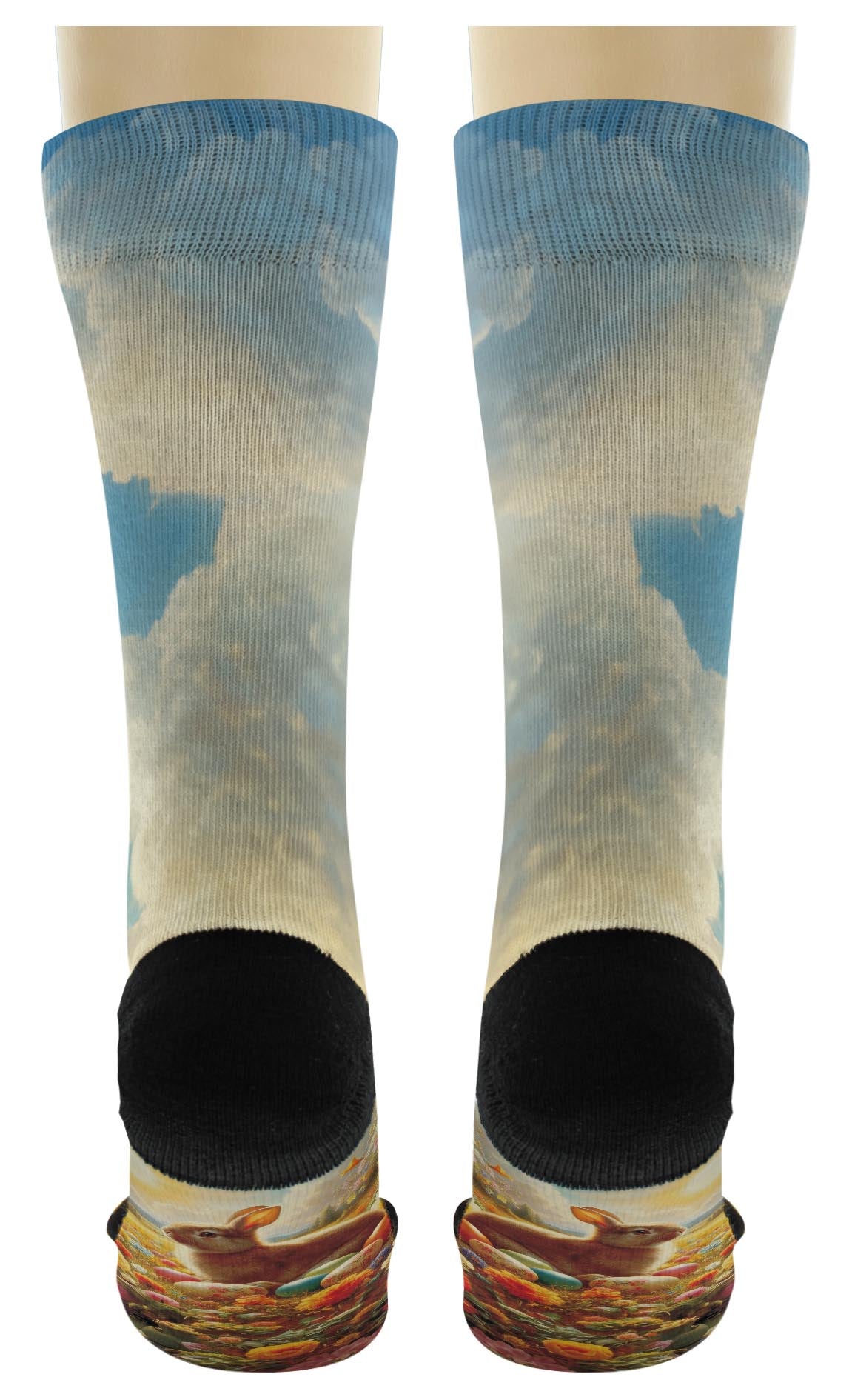 back view of a pair of socks