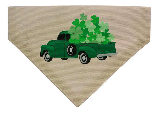 front view of dog scarf