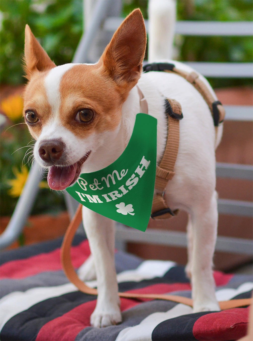 St Patrick's Day Pet Collar Scarfs