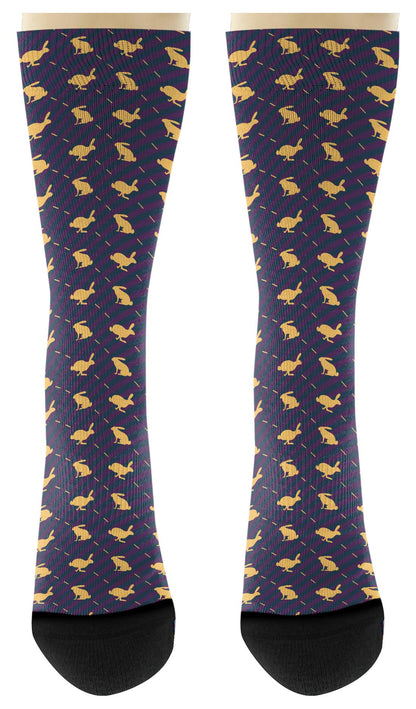 front view of a pair of socks
