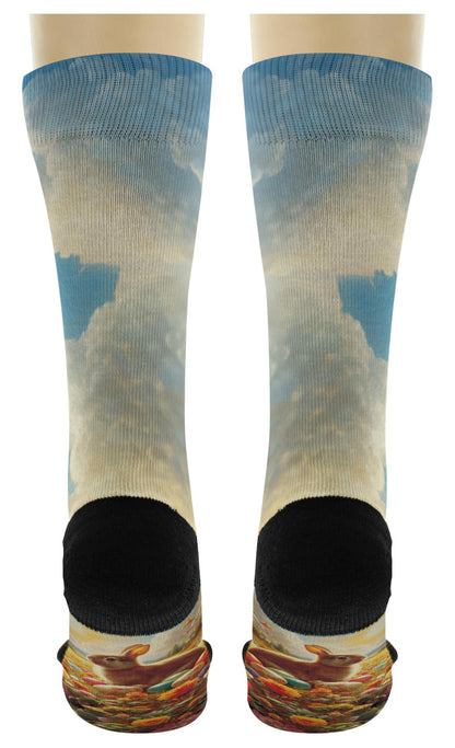 back view of a pair of socks