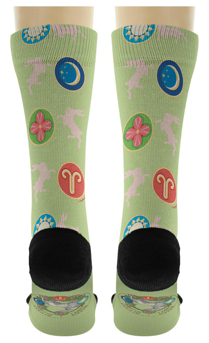 back view of a pair of socks
