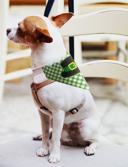 small dog with scarf