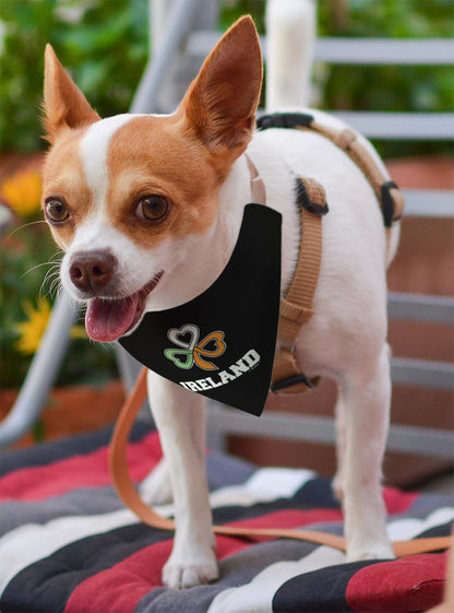 small dog with scarf