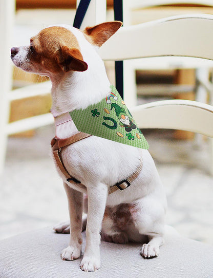 small dog with scarf